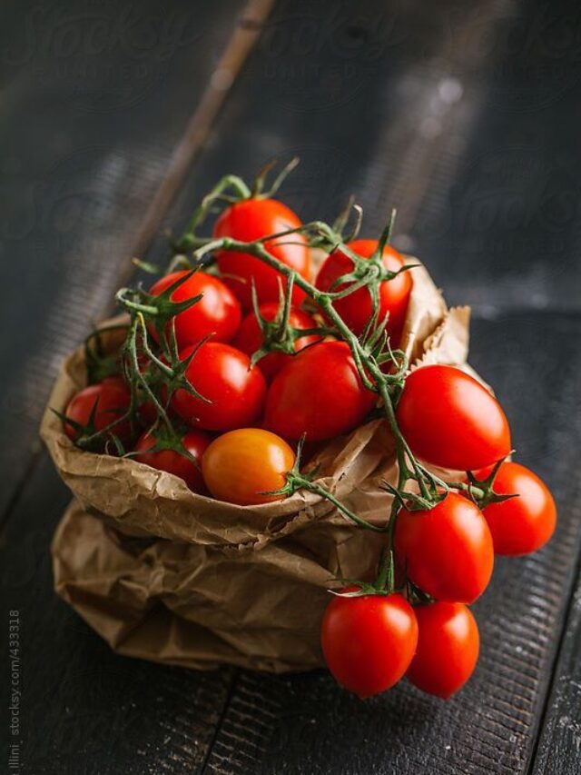 Tomato Soup