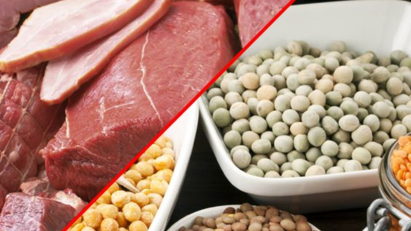 Plant Proteins and Animal Protiens